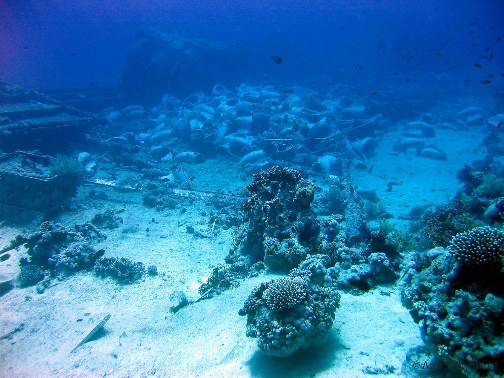 2006- Yolanda reef (17).jpg